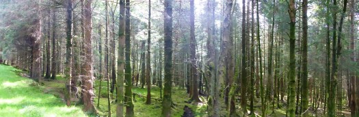 13C5FD14-3B35-4DDD-B324-1AF9381935D3