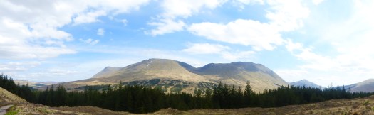 4B4105B1-7AAE-486C-8208-67476B98565E