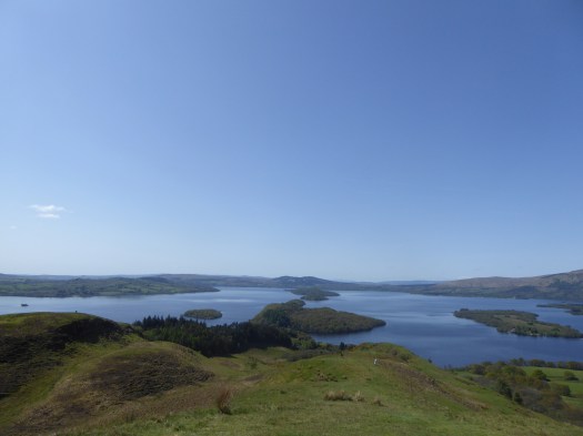 A65FB81B-F76D-476A-9491-029AE668F584