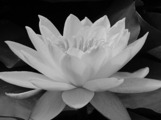 0DA94C54-DC93-4D27-B3AF-29880DB75A1C